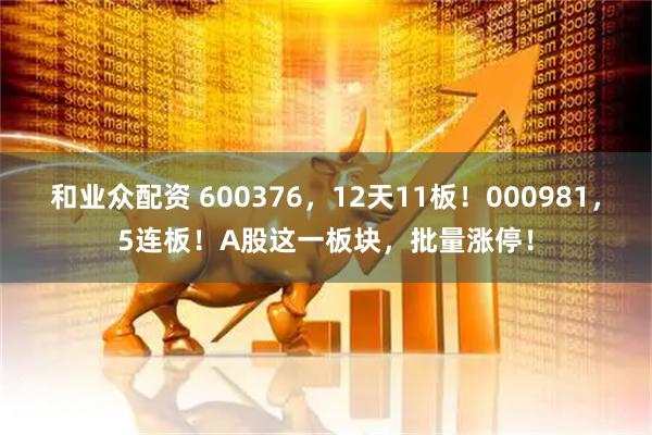 和业众配资 600376，12天11板！000981，5连板！A股这一板块，批量涨停！
