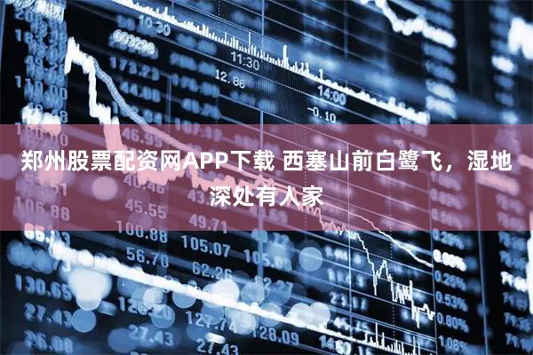 郑州股票配资网APP下载 西塞山前白鹭飞，湿地深处有人家