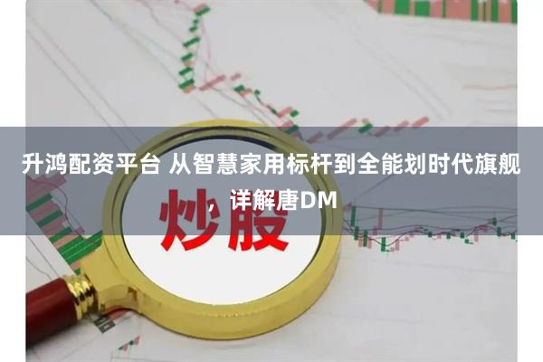 升鸿配资平台 从智慧家用标杆到全能划时代旗舰，详解唐DM